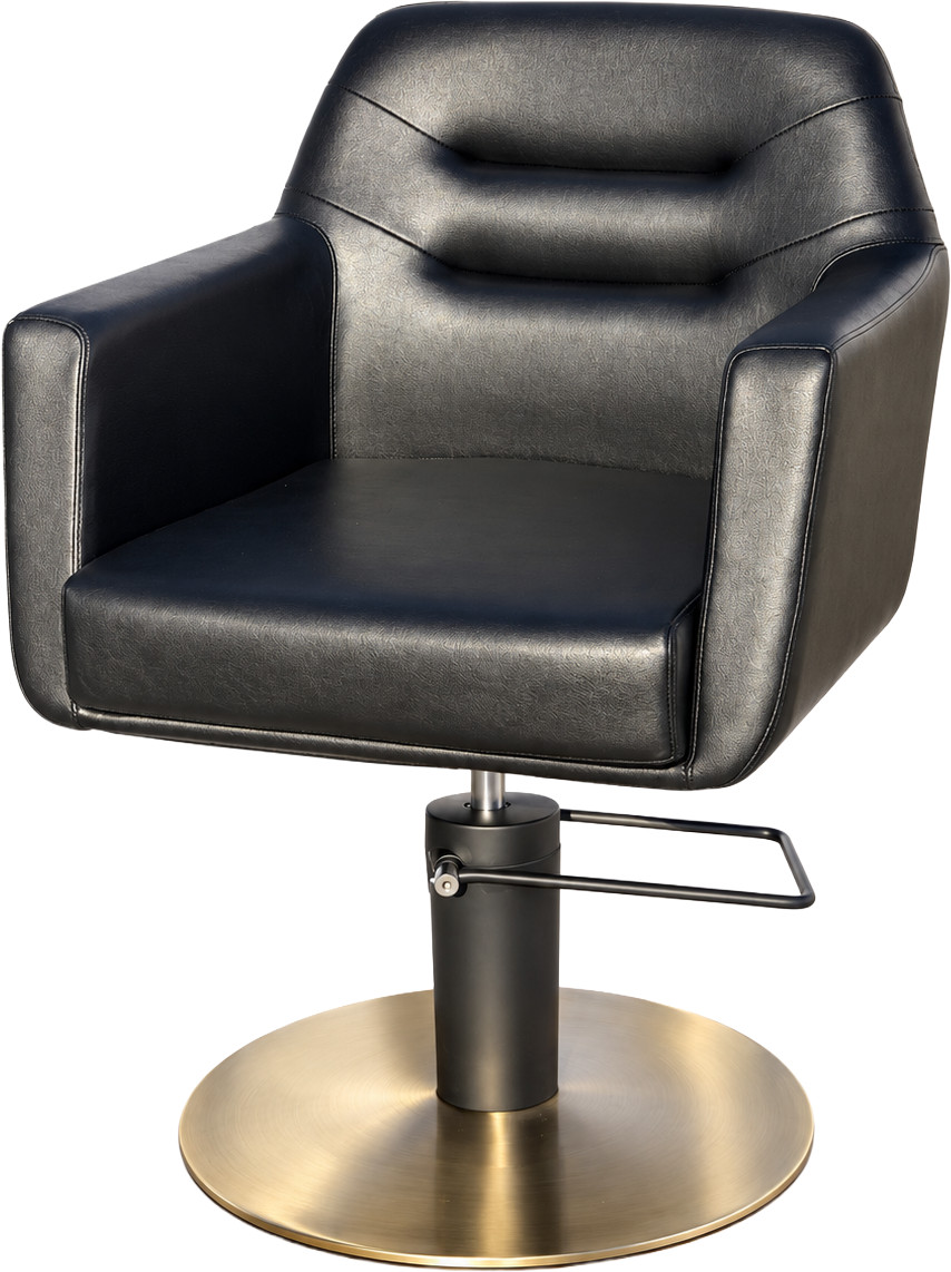  Hairway Fauteuil de coiffure LOOP Noir et Dor&eacute; 