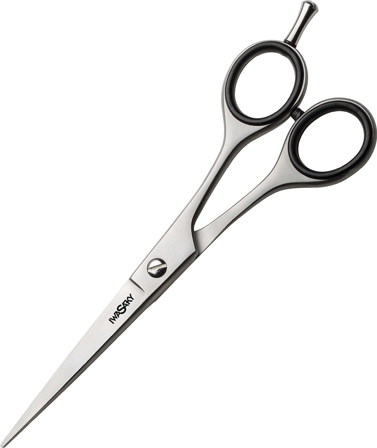  XanitaliaPro Iwasaki Steel 6,5" 