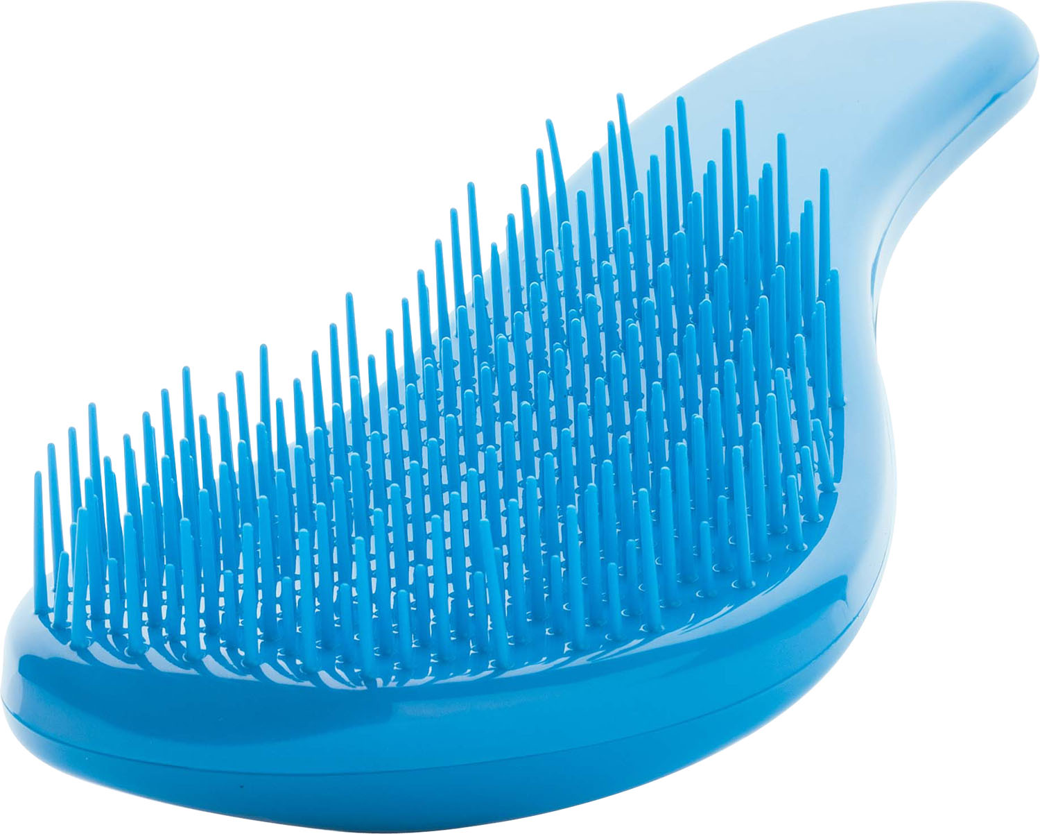  XanitaliaPro Kolor Tangle Cyan 