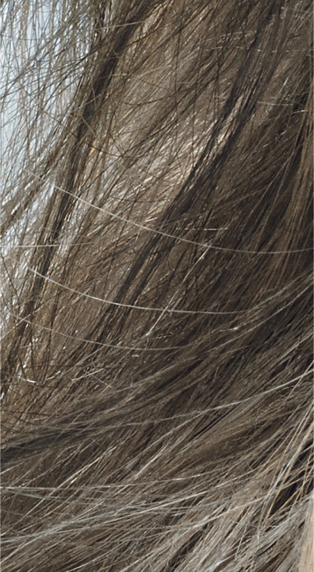  Goldwell Colorance 8CA Cool Cendre 